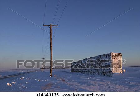 winter in Manitoba, prairie scene View Large Photo Image Stock Photography - winter in Manitoba, prairie scene. Fotosearch