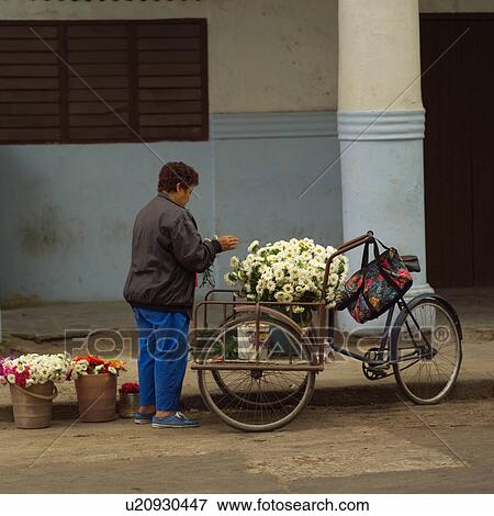 Stock Photo - Pedicab flower vendor on the street, Havana, Cuba. Fotosearch