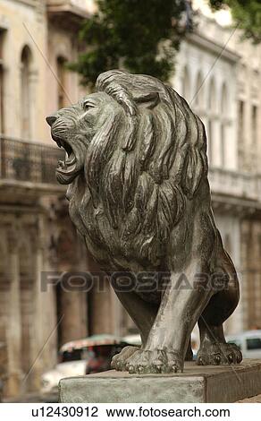 Close-up of the statue of a lion, Havana, Cuba View Large Photo Image Stock Image - Close-up of the statue of a lion, Havana, Cuba. Fotosearch