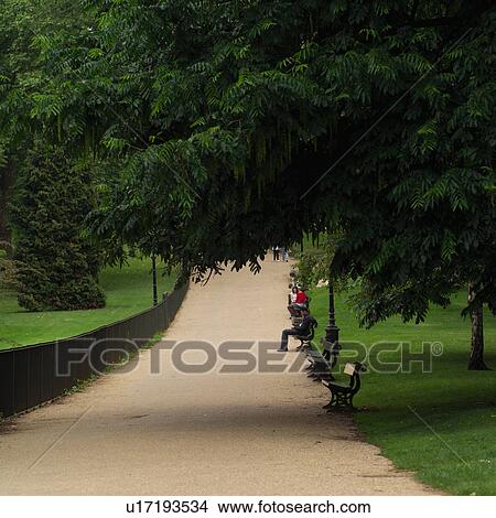 Picture - Benches along a path of a park in London, England. Fotosearch
