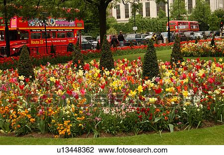 London, England View Large Photo Image Stock Image - London, England. Fotosearch