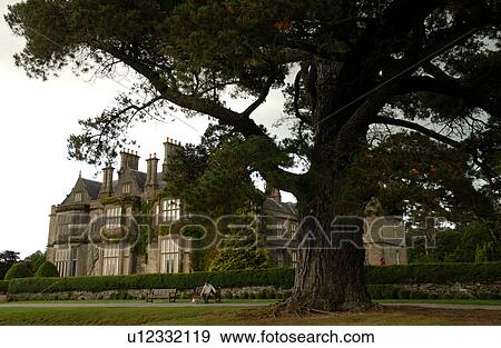 Ireland - Muckross House, Killarney View Large Photo Image Stock Photo - Ireland - Muckross House, Killarney. Fotosearch