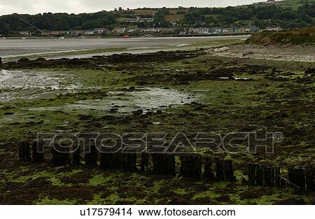 Picture - Rural Ireland - coastline. Fotosearch