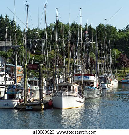 Sailboats docked at pier, Vancouver Island, Canada View Large Photo Image Stock Photograph - Sailboats docked at pier, Vancouver Island, Canada. Fotosearch