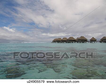 Corals under water seen clearly View Large Photo Image Stock Photo - Corals under water seen clearly. Fotosearch
