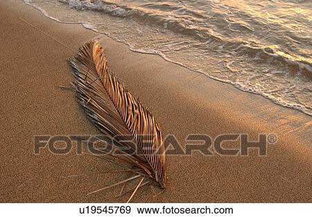 Hawaii - seascapes View Large Photo Image Stock Photo - Hawaii - seascapes. Fotosearch