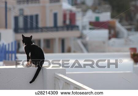 Greek Island of Santorini View Large Photo Image Stock Photo - Greek Island of Santorini. Fotosearch