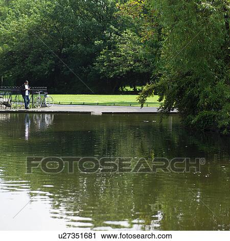 Stock Image - Dublin, Ireland - Park pond with trees. Fotosearch
