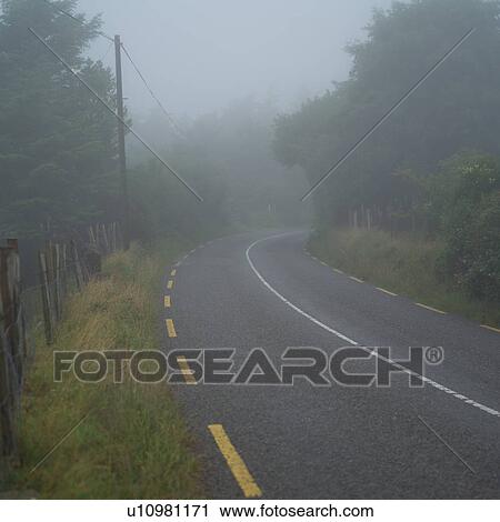 Stock Image - Ireland - fog on road with evergreens and trees in Irish countryside. Fotosearch