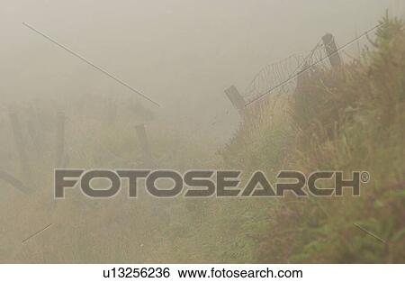 Ireland - foggy countryside View Large Photo Image Stock Photograph - Ireland - foggy countryside. Fotosearch
