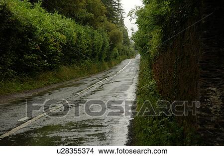 Picture - Ireland - road in countryside. Fotosearch