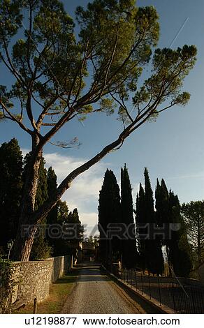 Stock Photo - Villa - Tuscany, Italy. Fotosearch