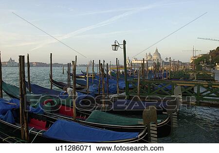 Array of gondolas docked at a canal in Venice, Italy View Large Photo Image Stock Image - Array of gondolas docked at a canal in Venice, Italy. Fotosearch
