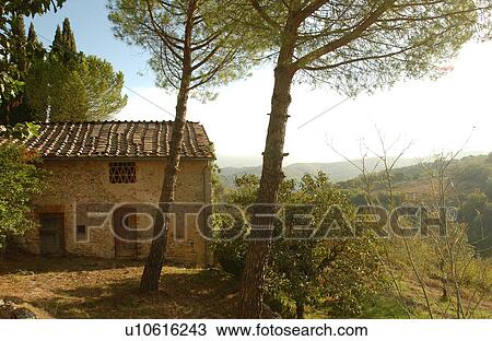 Stock Image - Villa - Tuscany, Italy. Fotosearch