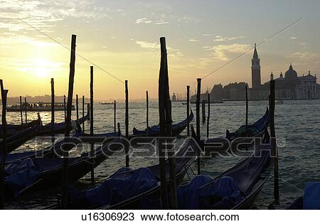 Array of gondolas docked at a canal in Venice, Italy View Large Photo Image Stock Image - Array of gondolas docked at a canal in Venice, Italy. Fotosearch