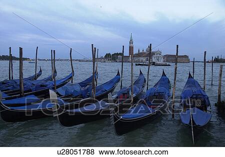Array of gondolas docked at a canal in Venice, Italy View Large Photo Image Stock Photo - Array of gondolas docked at a canal in Venice, Italy. Fotosearch