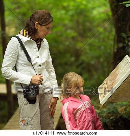 Tourists reading information sign on Rain Forest Trail View Large Photo Image Stock Image - Tourists reading information sign on Rain Forest Trail. Fotosearch