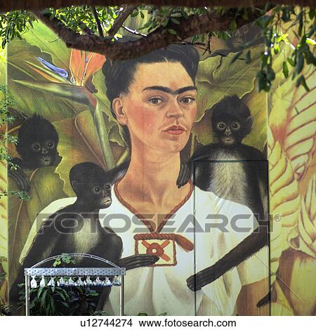 Picture - Mexico - Mayan Riviera. Fotosearch
