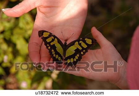 Stock Image - Mexico - Mayan Riviera. Fotosearch