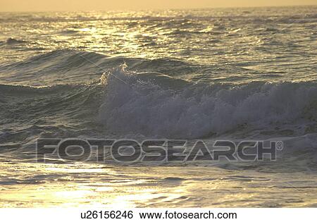 Waves in the sea in Mexico View Large Photo Image Stock Photograph - Waves in the sea in Mexico. Fotosearch