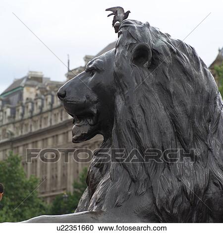 Stock Image - Statue of a lion in Trafalgar square, London, England. Fotosearch