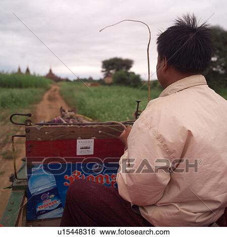Rear view of a man riding in a horse drawn cart View Large Photo Image Stock Photograph - Rear view of a man riding in a horse drawn cart. Fotosearch