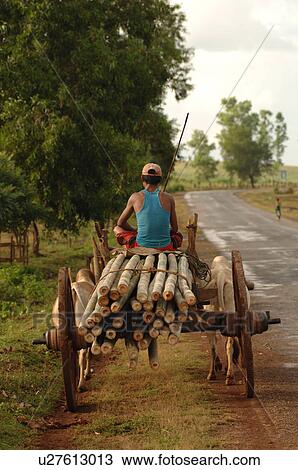 Stock Image - Rear view of a wooden cart. Fotosearch