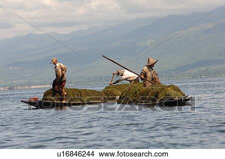 Picture - Farmers in row boat. Fotosearch