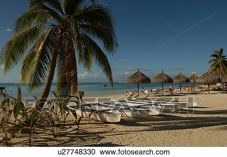 Stock Image - Boats on a beach, Moorea, Tahiti, French Polynesia, South Pacific. Fotosearch