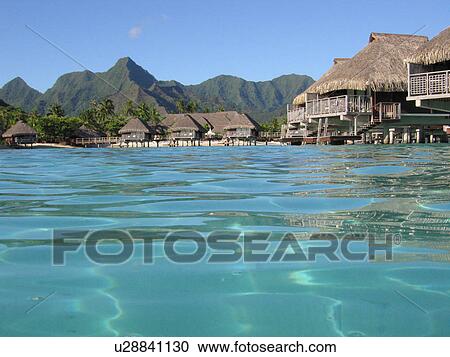 Buildings on a beach, Moorea, Tahiti, French Polynesia, South Pacific View Large Photo Image Stock Image - Buildings on a beach, Moorea, Tahiti, French Polynesia, South Pacific. Fotosearch
