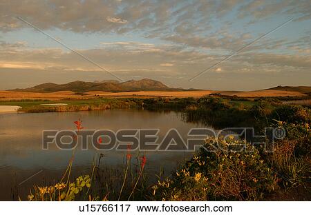 Stock Photo - Coastal Landscape - South Africa. Fotosearch