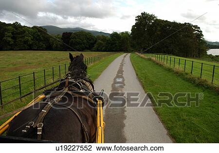 Stock Image - Ireland - Muckross House, Killarney – horse on road. Fotosearch