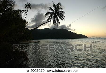 Stock Image - Panoramic view of the seashore, Moorea, Tahiti, French Polynesia, South Pacific. Fotosearch