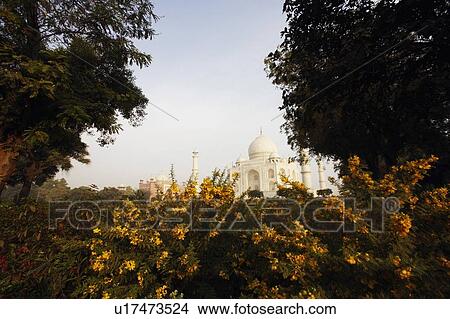 Garden in front of a mausoleum, Taj Mahal, Agra, Uttar Pradesh, India View Large Photo Image Picture - Garden in front of a mausoleum, Taj Mahal, Agra, Uttar Pradesh, India. Fotosearch