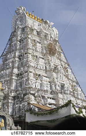 Low angle view of a temple, Tirupati, Tirumala Venkateswara Temple, Tirumala, Andhra Pradesh, India View Large Photo Image Stock Photography - Low angle view of a temple, Tirupati, Tirumala Venkateswara Temple, Tirumala, Andhra Pradesh, India. Fotosearch