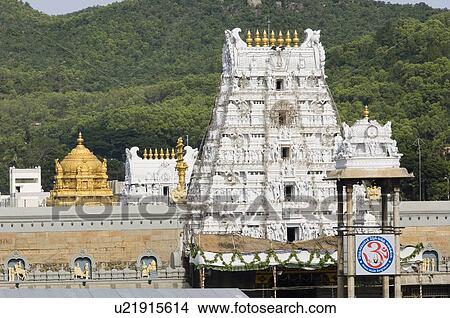 Picture - Statues carved on a temple, Tirupati, Tirumala Venkateswara Temple, Tirumala, Andhra Pradesh, India. Fotosearch