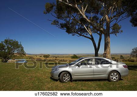Stock Image - Car stop at tree side. Fotosearch