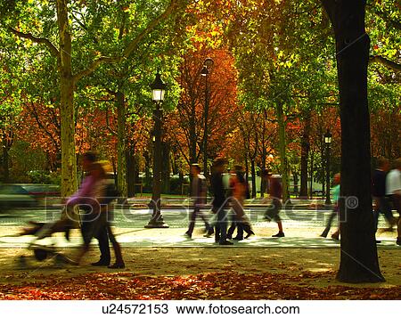 Stock Image - Walkway of Avenue des Champs-Elysees. Fotosearch