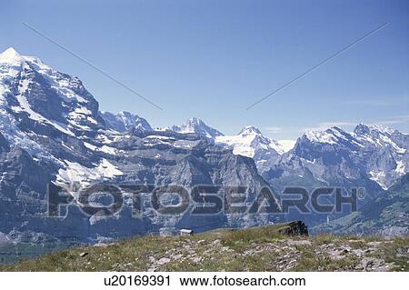 Stock Image - Canadian Rockies. Fotosearch