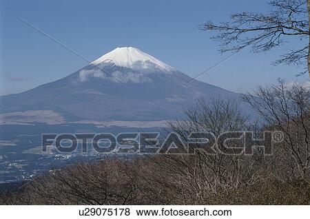 Mt. Fuji View Large Photo Image Stock Photo - Mt. Fuji. Fotosearch