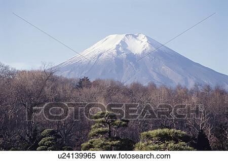 Mt. Fuji View Large Photo Image Stock Photography - Mt. Fuji. Fotosearch