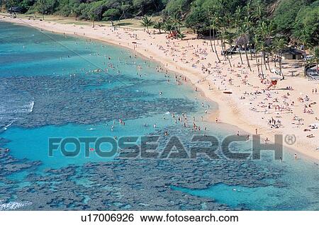 Sandy Beach View Large Photo Image Stock Photograph - Sandy Beach. Fotosearch