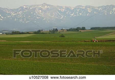 The Field In Hokkaido View Large Photo Image Stock Photo - The Field In Hokkaido. Fotosearch
