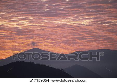 Picture - Morning Glow. Fotosearch
