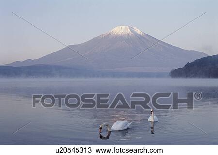 Stock Image - Mt. Fuji And Lake Yamanaka. Fotosearch