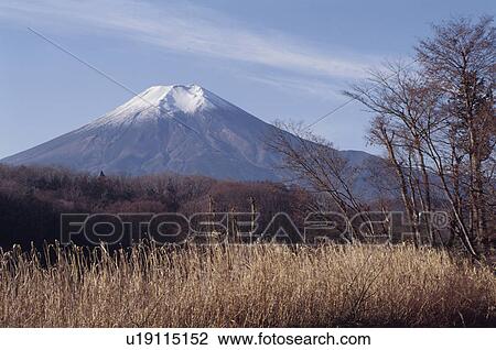 Mt. Fuji View Large Photo Image Stock Image - Mt. Fuji. Fotosearch