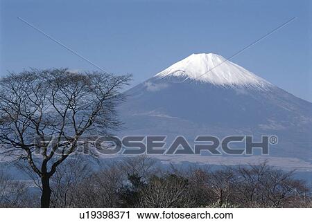Mt. Fuji View Large Photo Image Stock Image - Mt. Fuji. Fotosearch