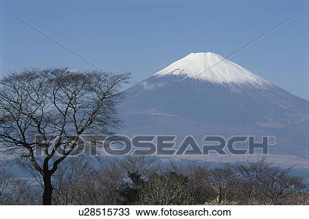 Stock Image - Mt. Fuji. Fotosearch