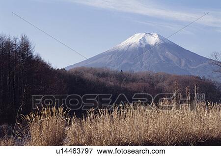 Stock Photo - Mt. Fuji. Fotosearch