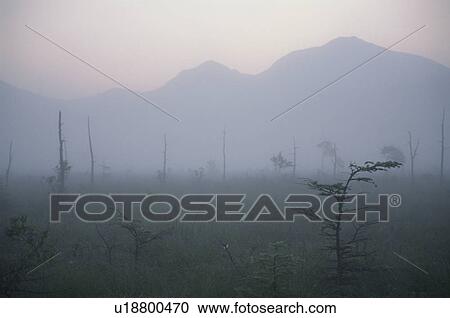 Senjogahara Meadows In The Morning Mist View Large Photo Image Stock Image - Senjogahara Meadows In The Morning Mist. Fotosearch